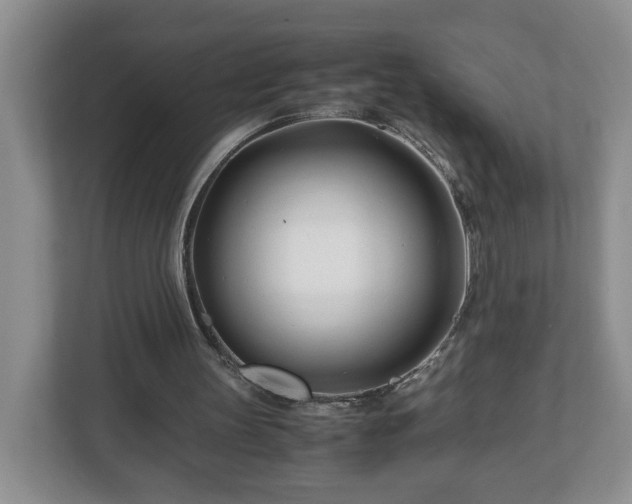 X0000113090147200909041156