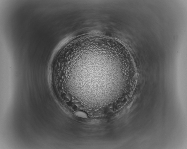 X0000113090149200909041156