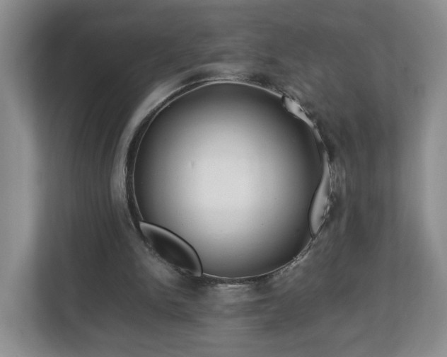 X0000113090150200909041156