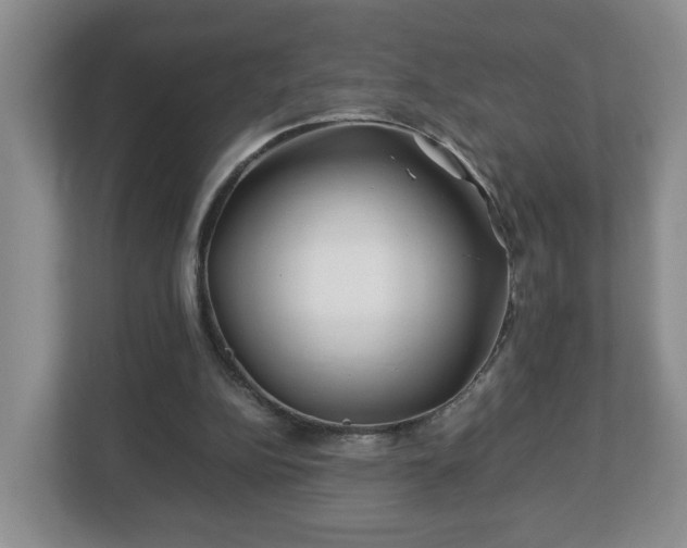 X0000113090152200909041156