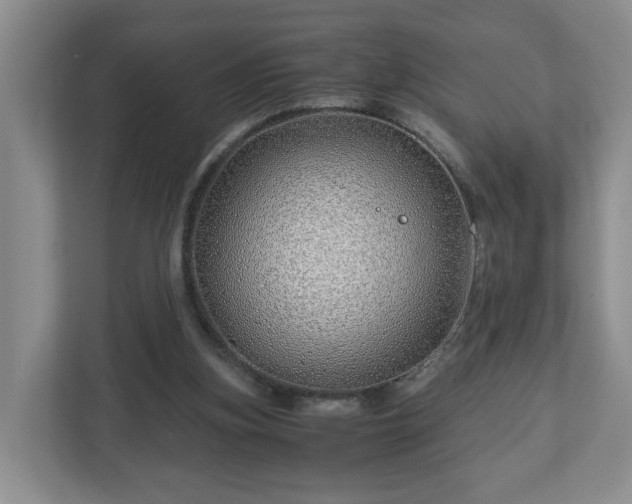 X0000113090155200909041156