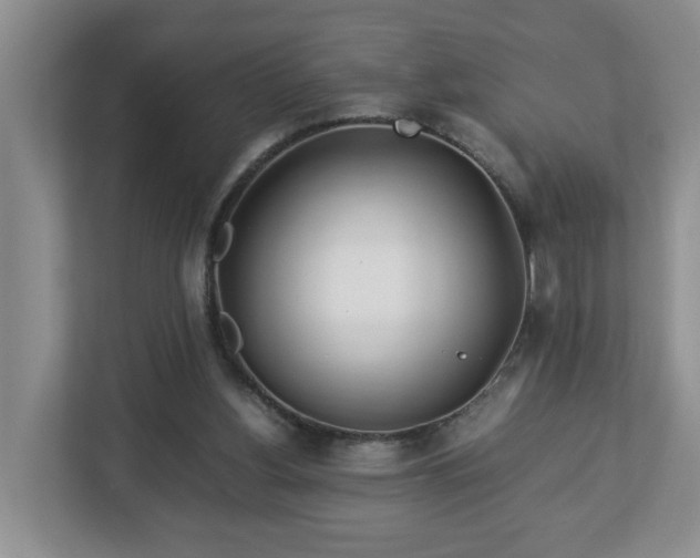 X0000113090156200909041156