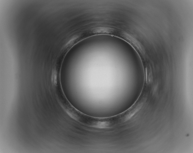 X0000113090157200909041156