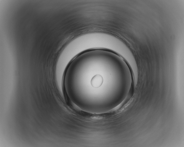 X0000113090158200909041156
