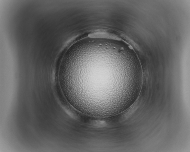 X0000113090159200909041156