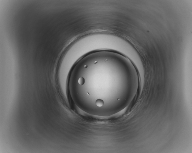 X0000113090160200909041156