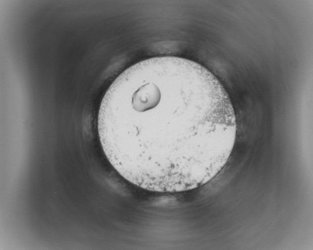 X0000113090162200909041156