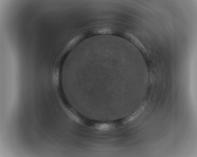 X0000113090163200909041156