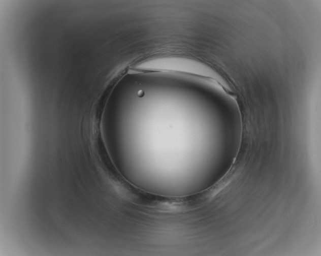 X0000113090164200909041156