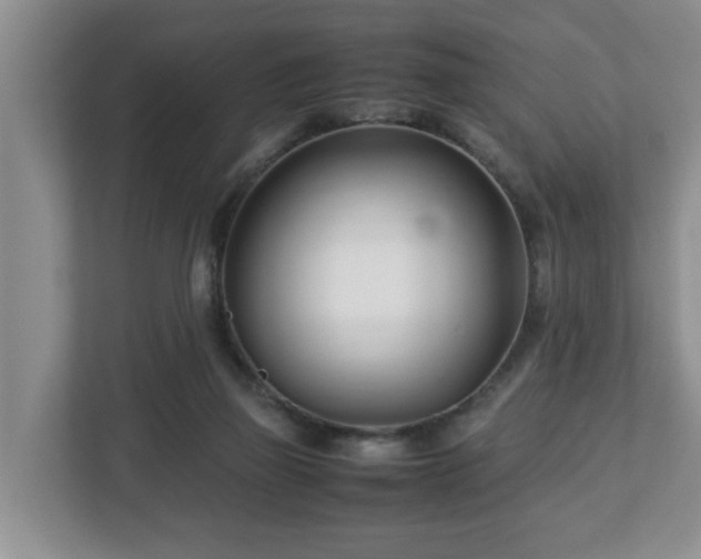 X0000113090165200909041156