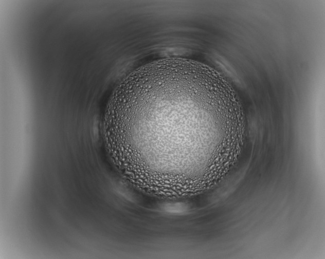 X0000113090169200909041156
