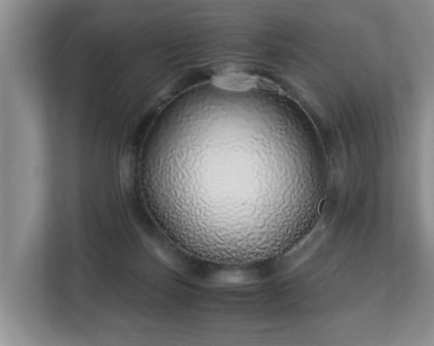X0000113090171200909041156