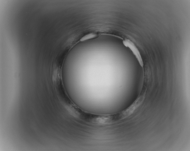 X0000113090172200909041156