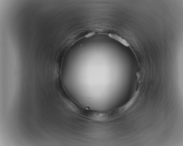 X0000113090174200909041156