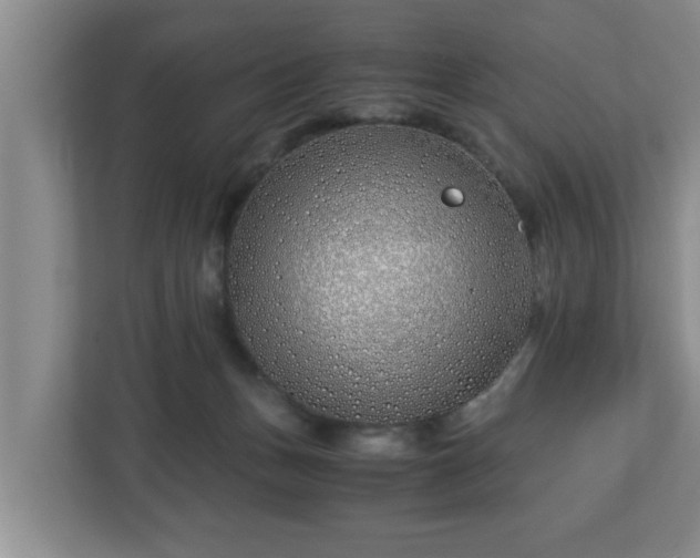 X0000113090175200909041156