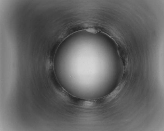 X0000113090176200909041156