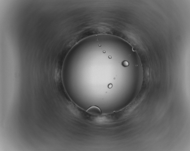 X0000113090177200909041156