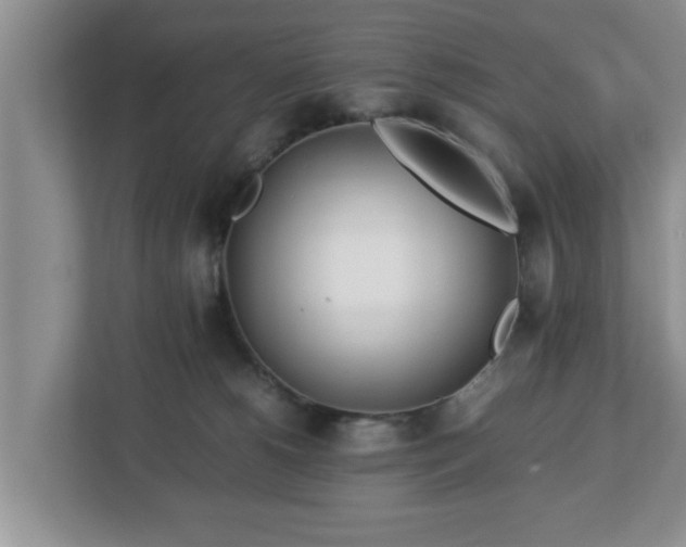 X0000113090180200909041156