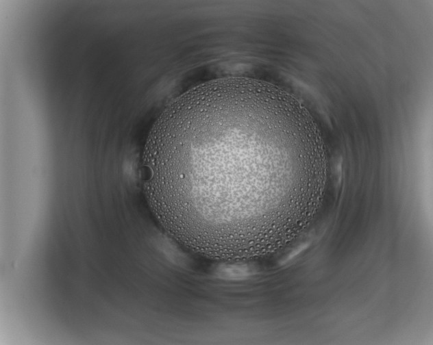 X0000113090181200909041156