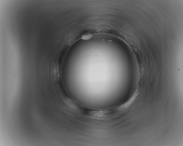 X0000113090182200909041156