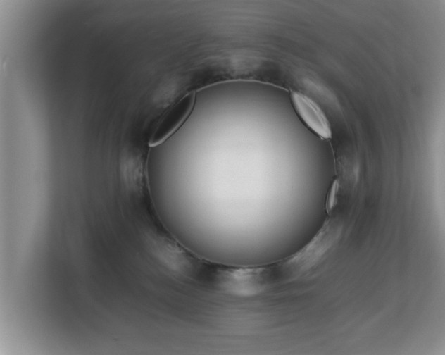 X0000113090184200909041156