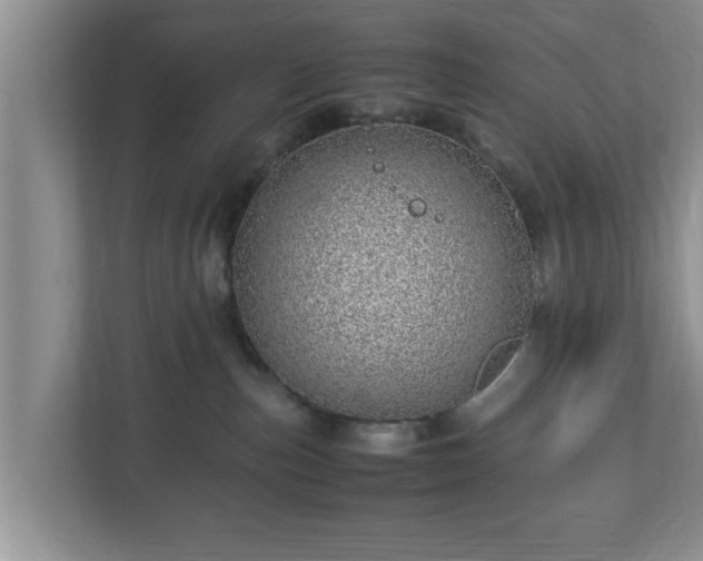 X0000113090187200909041156