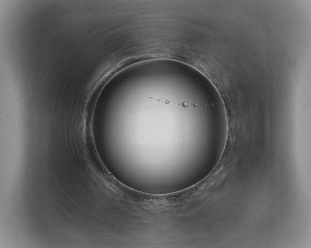 X0000113090194200909041156