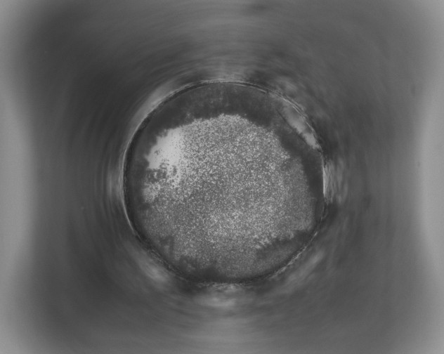 X0000113090195200909041156