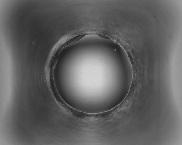 X0000113090197200909041156