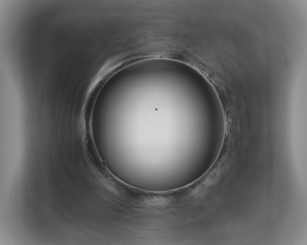 X0000113090198200909041156