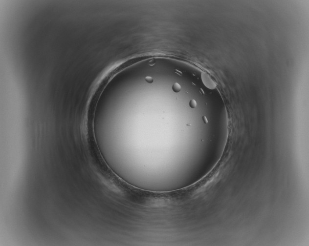 X0000113090200200909041156