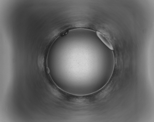 X0000113090201200909041156