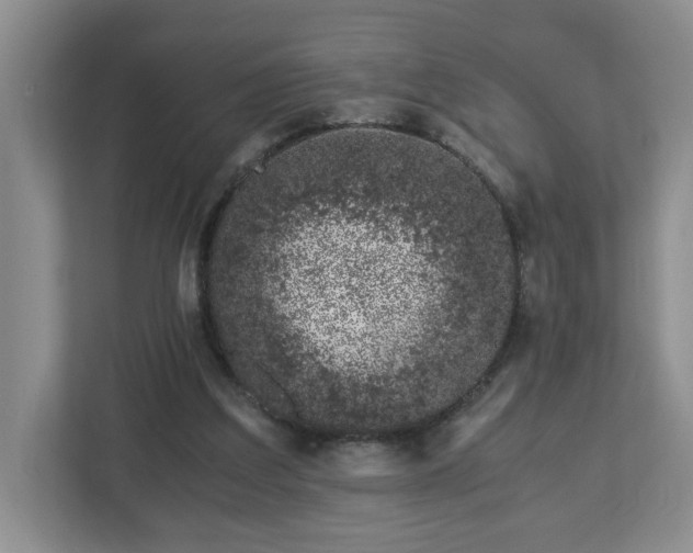 X0000113090203200909041156