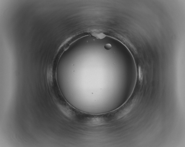 X0000113090204200909041156