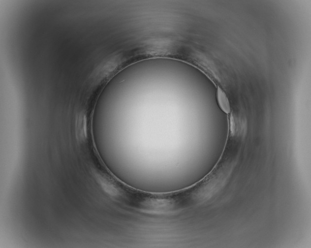 X0000113090205200909041156