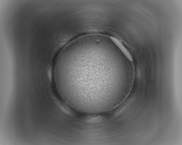 X0000113090206200909041156