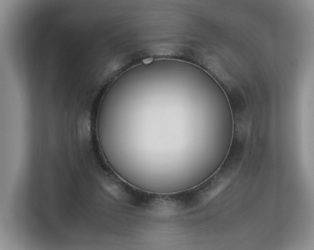 X0000113090207200909041156