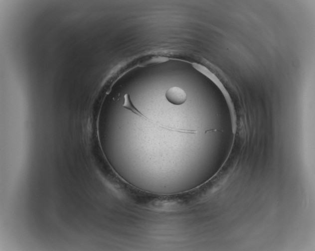 X0000113090208200909041156