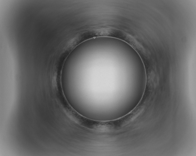 X0000113090209200909041156