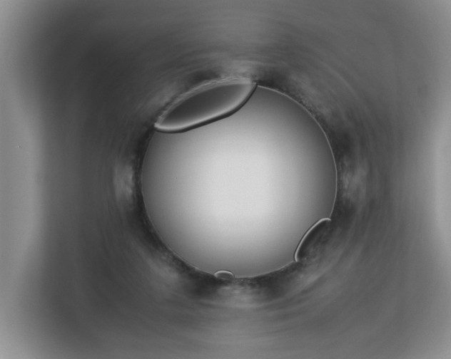 X0000113090211200909041156