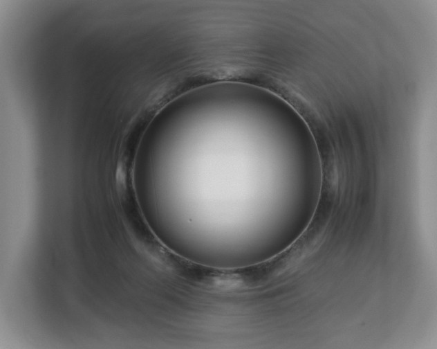 X0000113090214200909041156