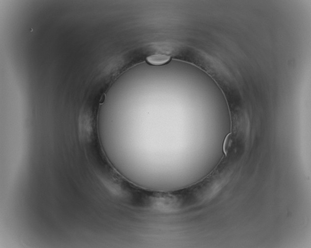 X0000113090215200909041156