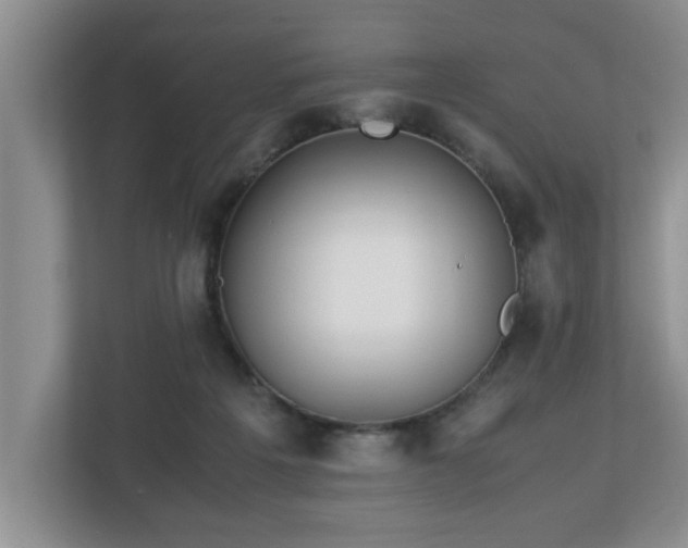 X0000113090217200909041156