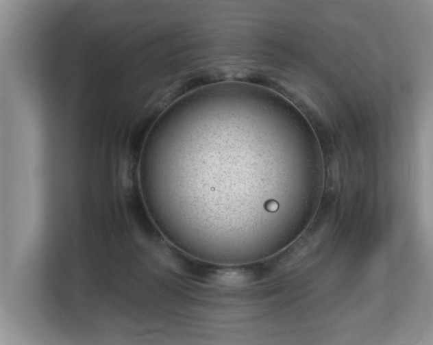 X0000113090218200909041156