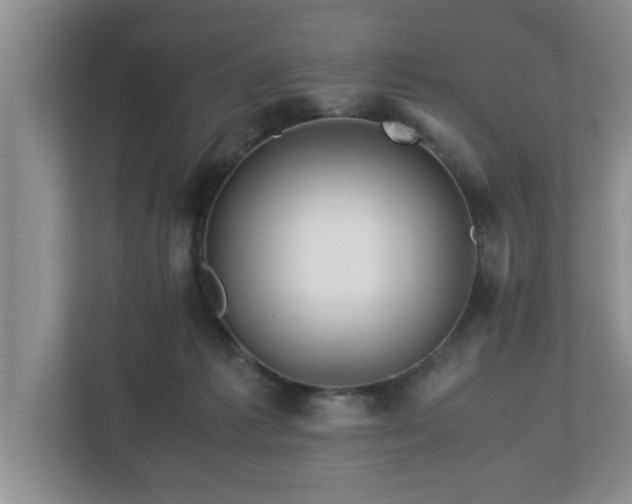 X0000113090221200909041155