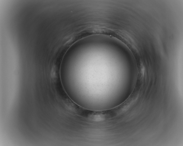X0000113090228200909041155