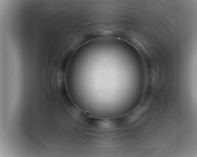 X0000113090230200909041155