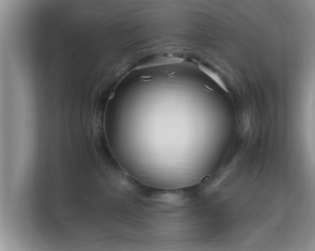 X0000113090236200909041155