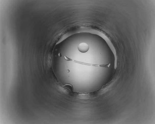 X0000113090240200909041155