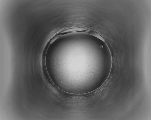 X0000113090242200909041155